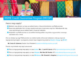 MSME Credit Guarantee Program